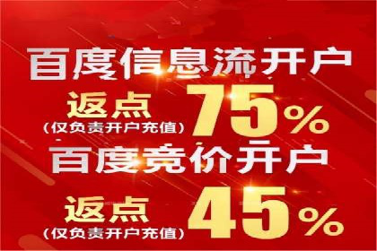 某电商企业SEM竞价代运营全记录：销量翻倍的奥秘